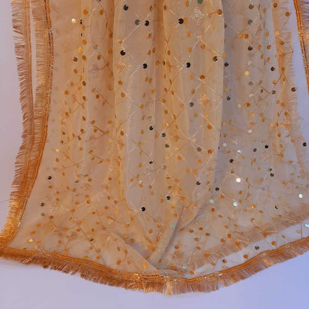 Gota Work Dupatta For Wedding Party - Net -  ZD1204