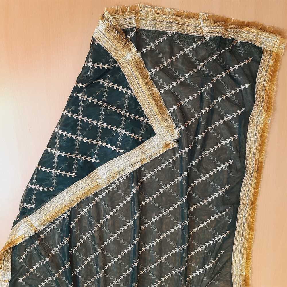 Gota Work Net Dupatta For Wedding Party - ZD0A7