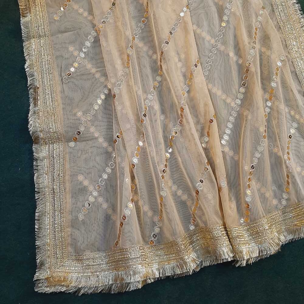 Mirror Work Net Dupatta - ZD1217
