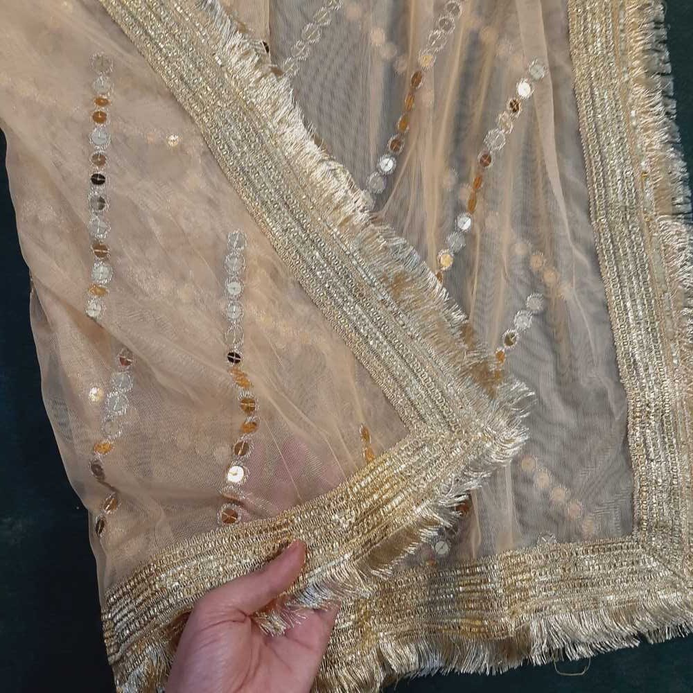Mirror Work Net Dupatta - ZD1217