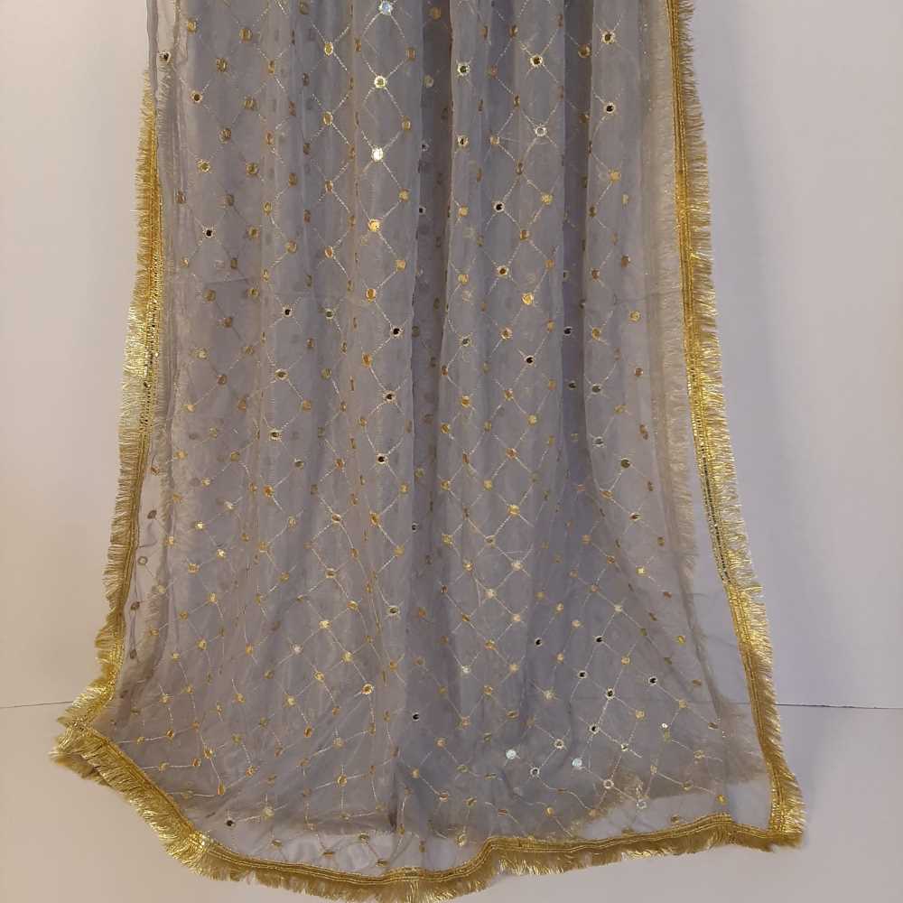 Mirror Work Net Dupatta Large - ZD998
