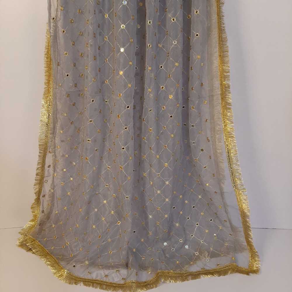 Mirror Work Net Dupatta Large -  ZD998