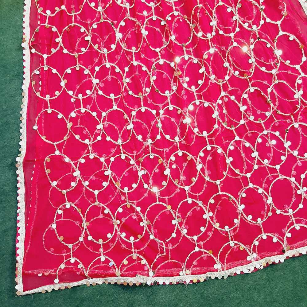 Mirror Work Net Dupatta Large -  ZD997