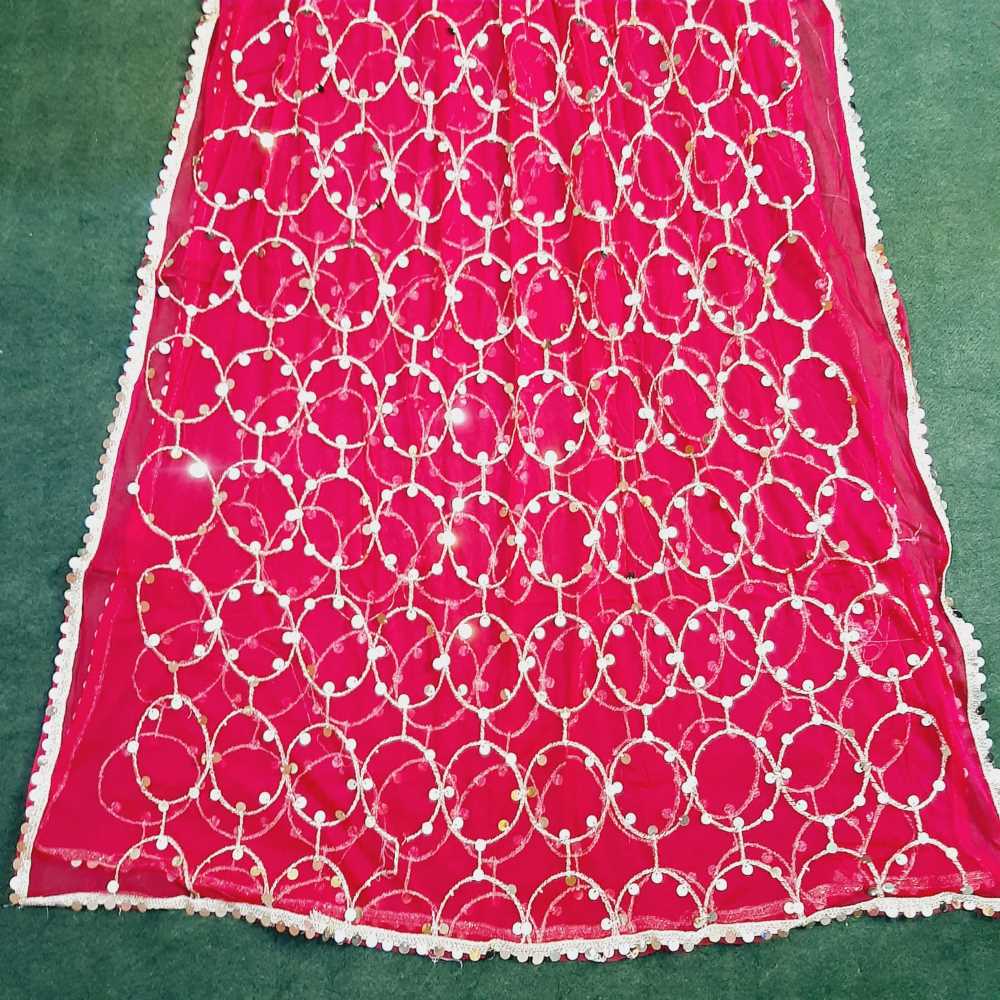 Mirror Work Net Dupatta Large - ZD997