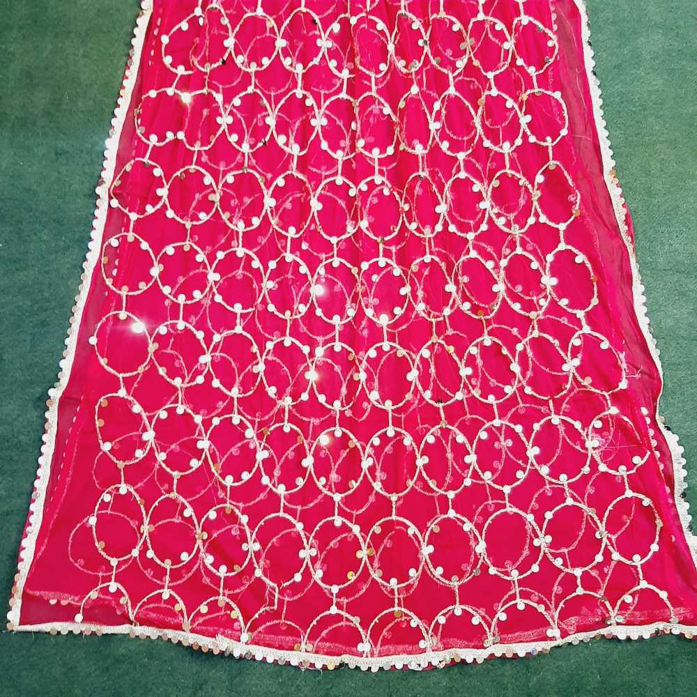 Mirror Work Net Dupatta Large -  ZD997