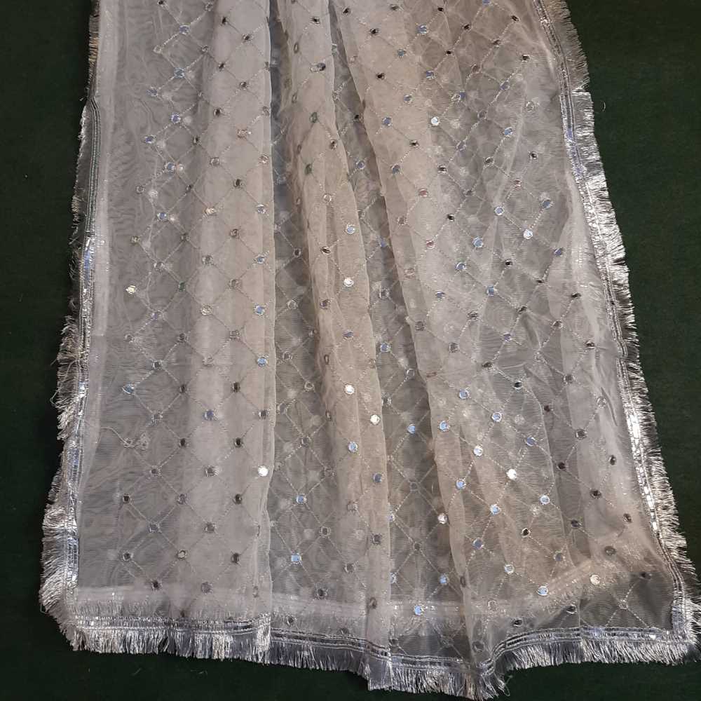 Mirror Work Net Dupatta Large - ZD998