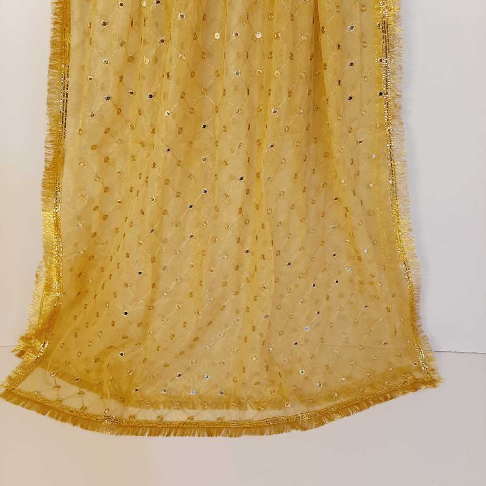 Mirror Work Net Dupatta Large - ZD998
