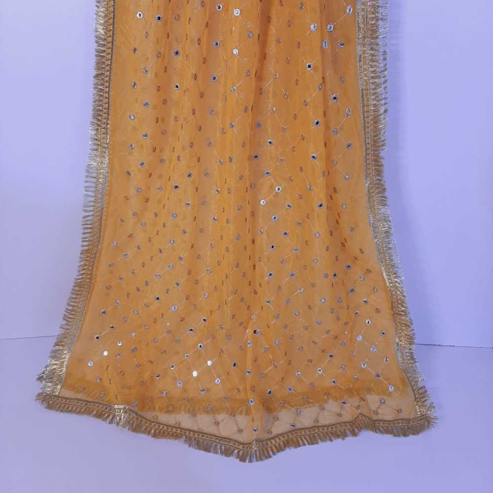 Mirror Work Net Dupatta Large -  ZD998