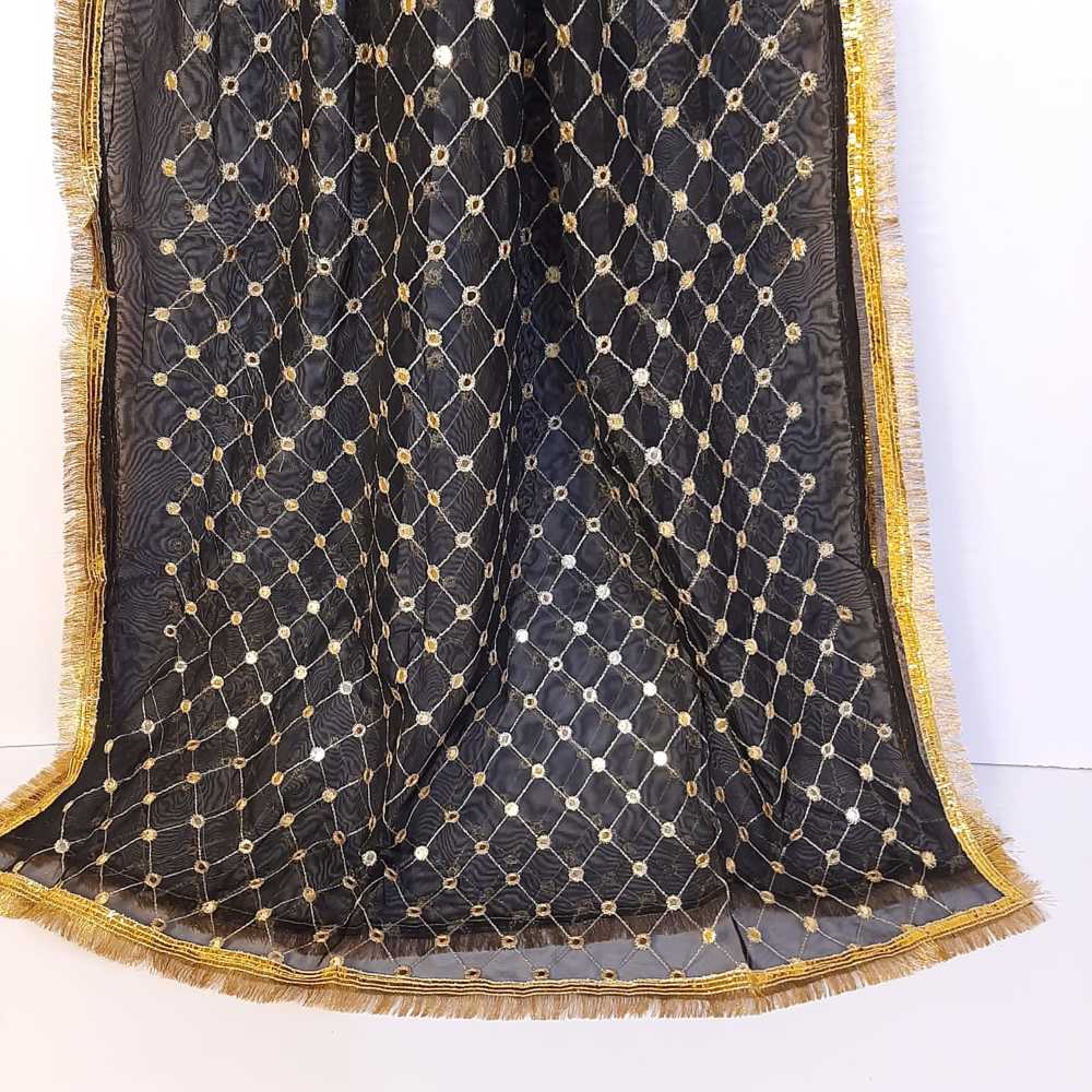 Mirror Work Net Dupatta Large - ZD998