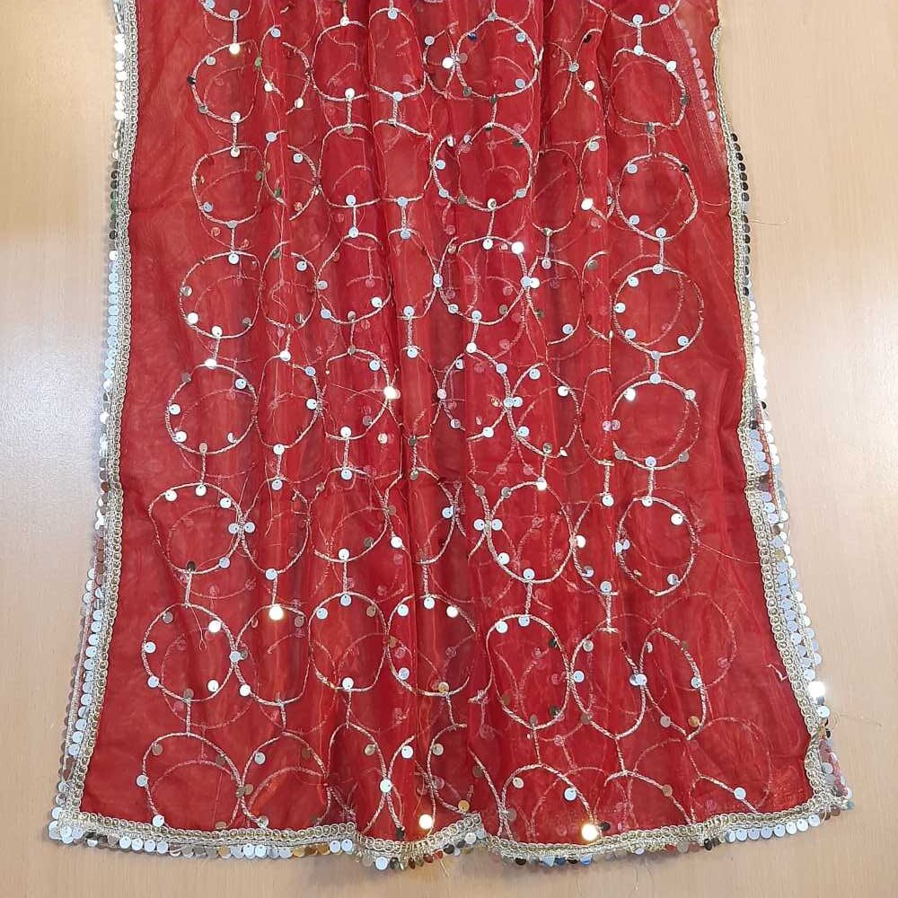 Mirror Work Net Dupatta Large -  ZD997