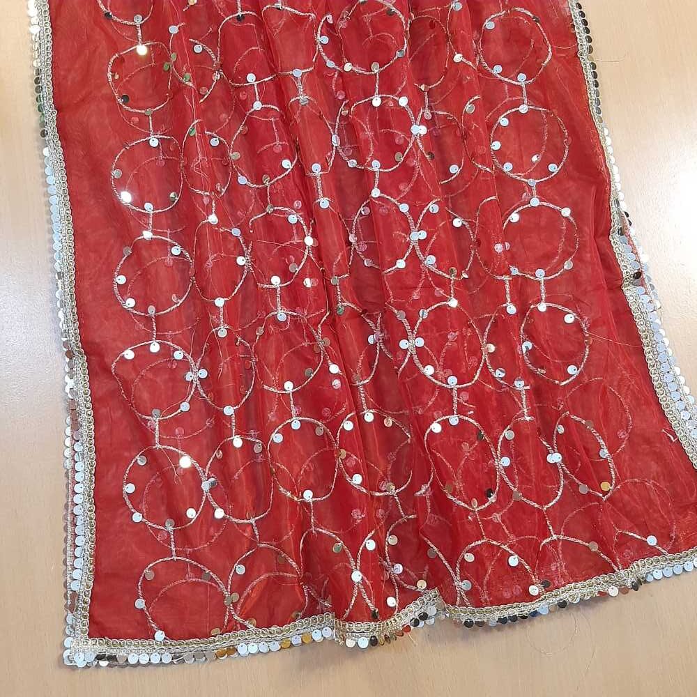 Mirror Work Net Dupatta Large - ZD997