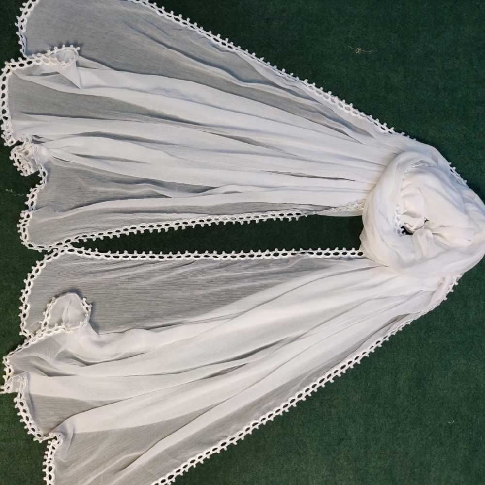 Qureshia Work Chiffon Dupatta - BGD06