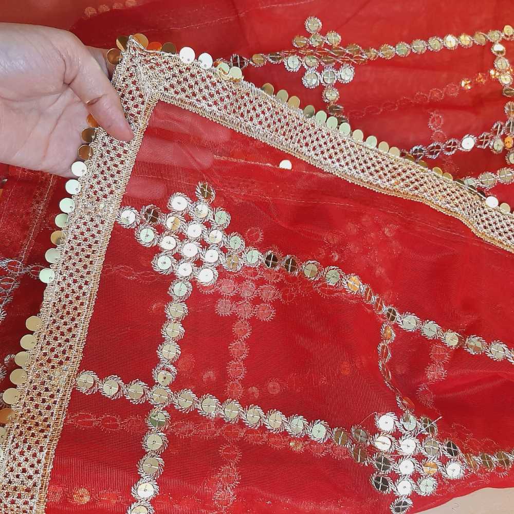 Gota Work Dupatta For Wedding Party - Net - ZD1236