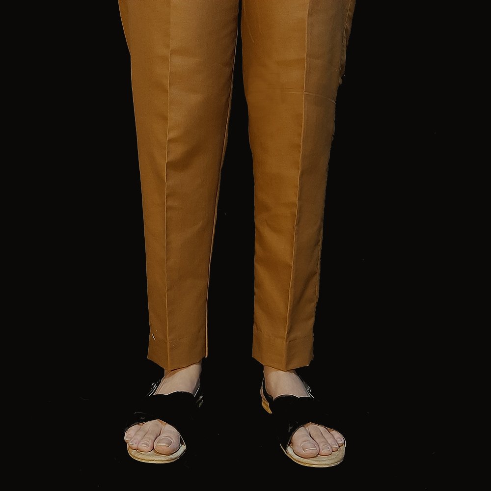 Ladies brown trouser