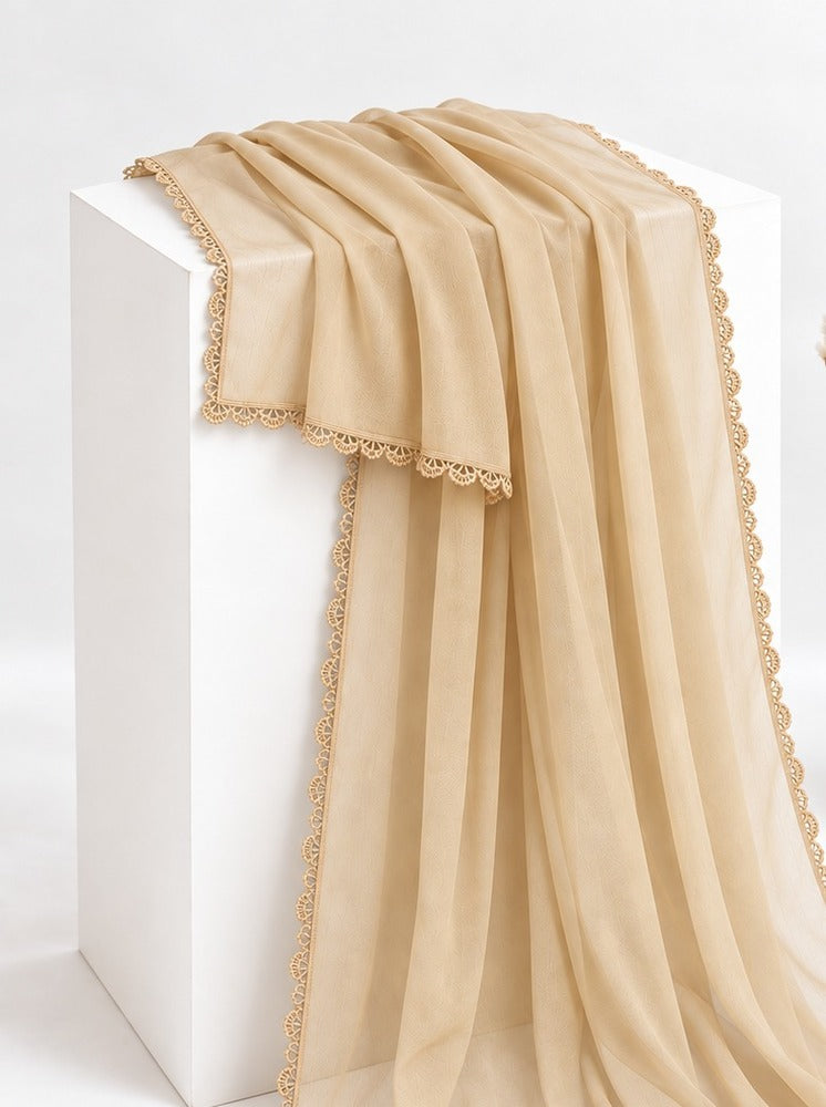Chiffon dupatta With 4 Sided Lace - Beige - ZD808