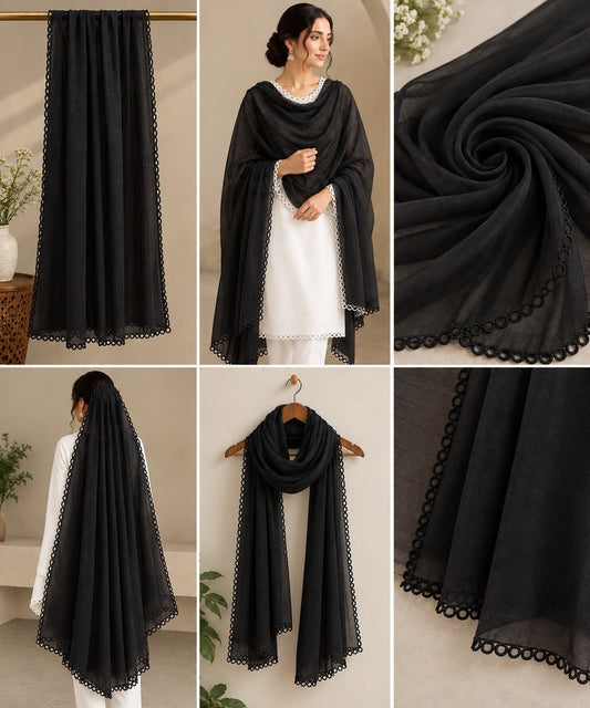 Qureshia Work Chiffon Dupatta – Black - ZD650