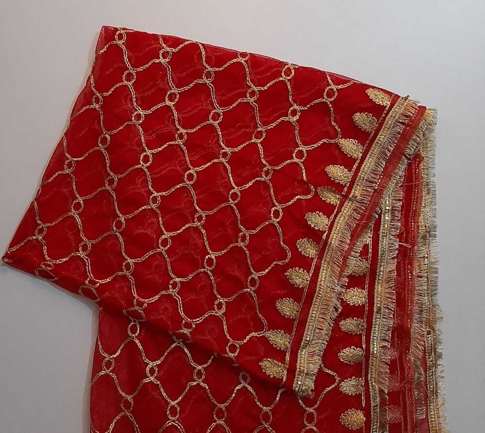 Gota Work Dupatta For Wedding - Net - ZD683