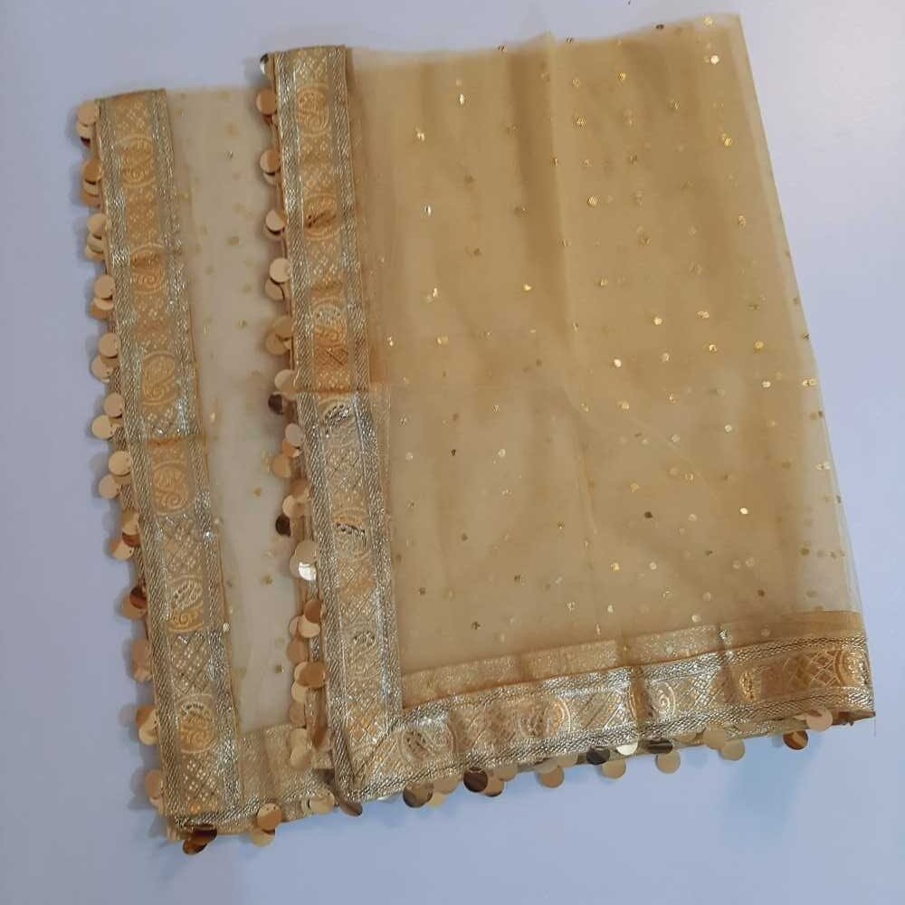 Gota Work Net Dupatta - ZD882