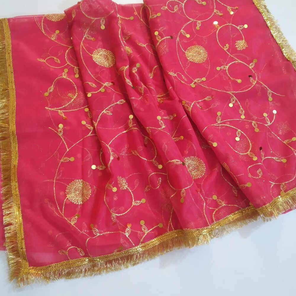 Gota Work Dupatta For Wedding - Net - ZD07