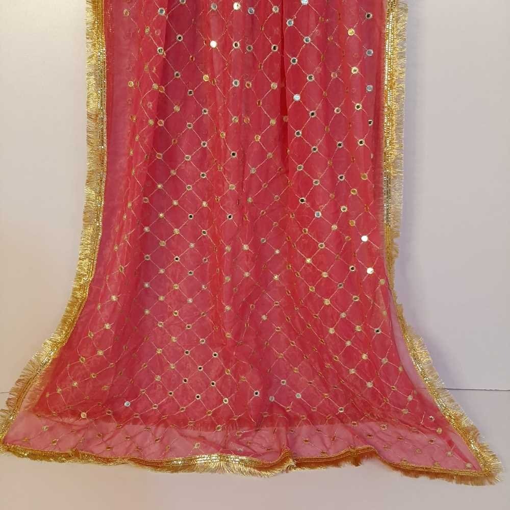 Mirror Work Net Dupatta Large - ZD998