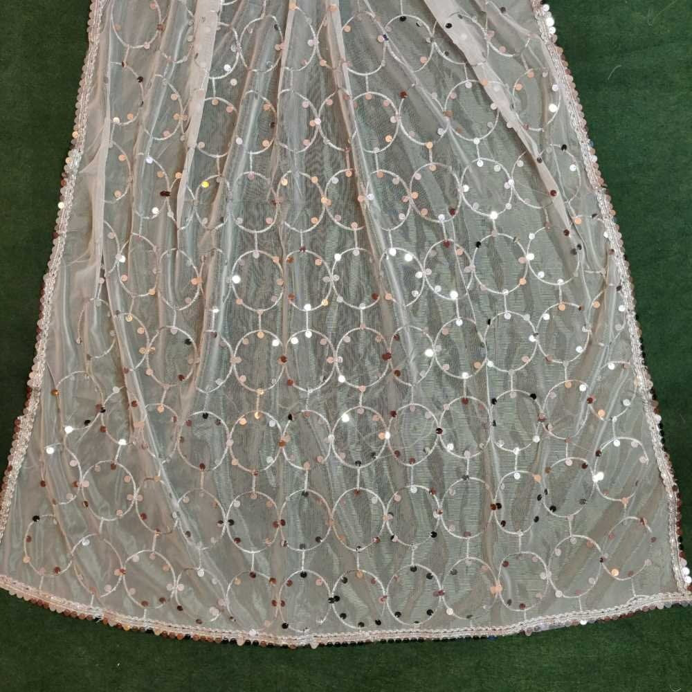 Mirror Work Net Dupatta Large -  ZD997