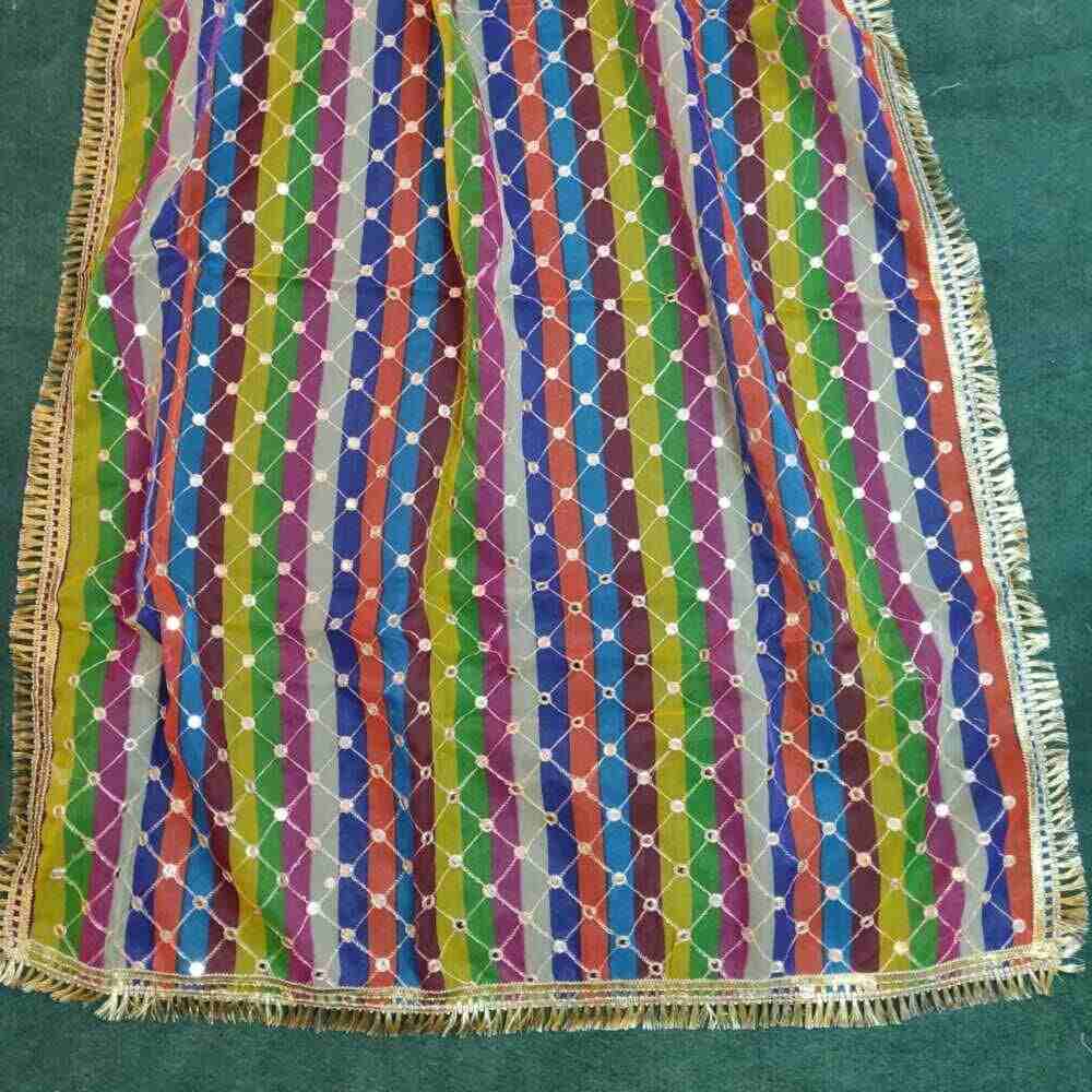 mirror work organza dupatta large multi