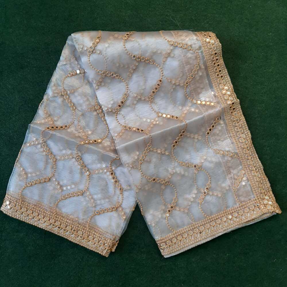 Mirror Work Organza Dupatta - ZD640