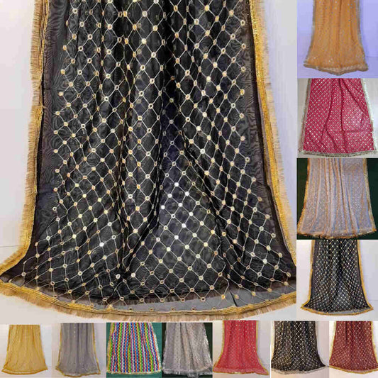 Mirror Work Net Dupatta Large -  ZD998