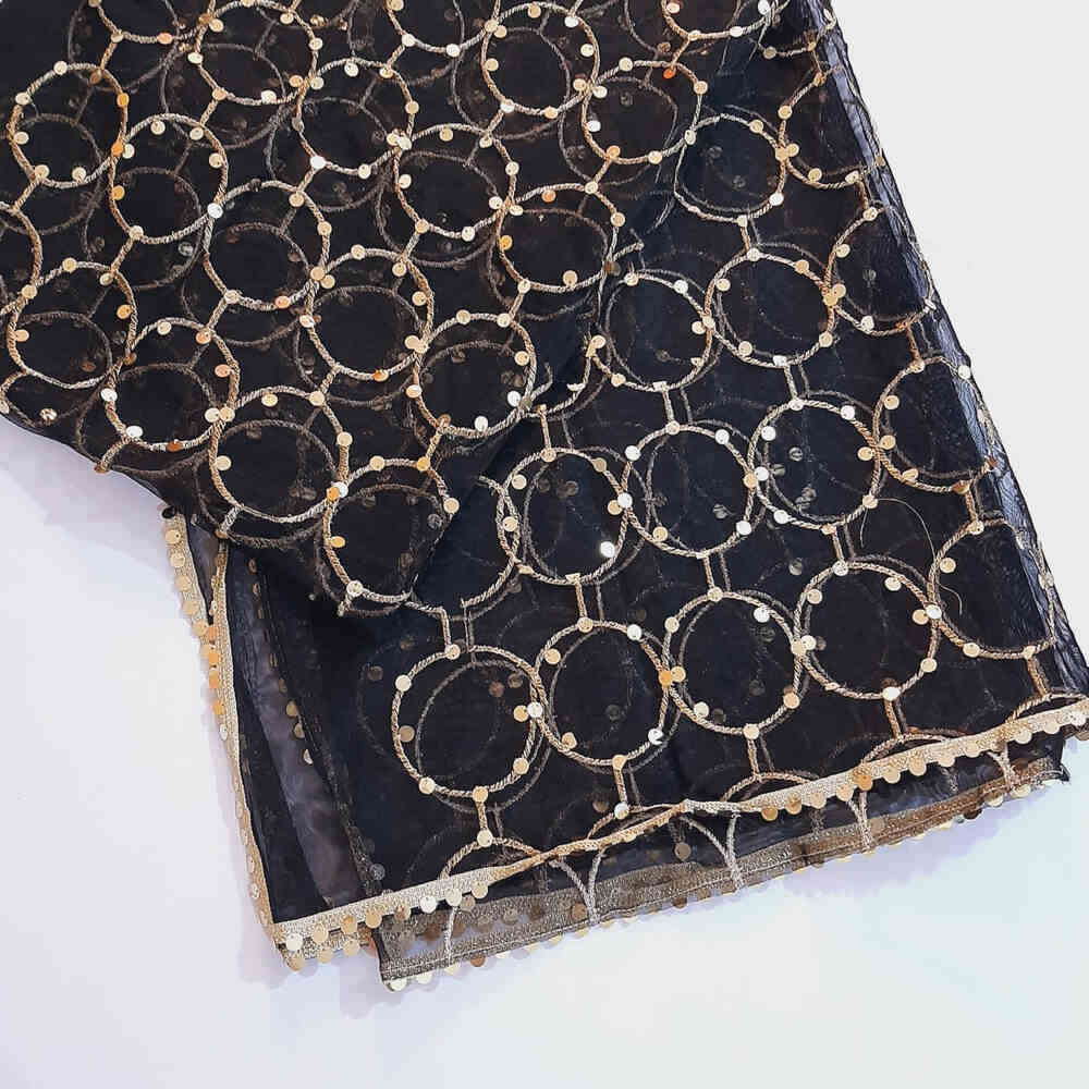 Mirror Work Net Dupatta Large - ZD997
