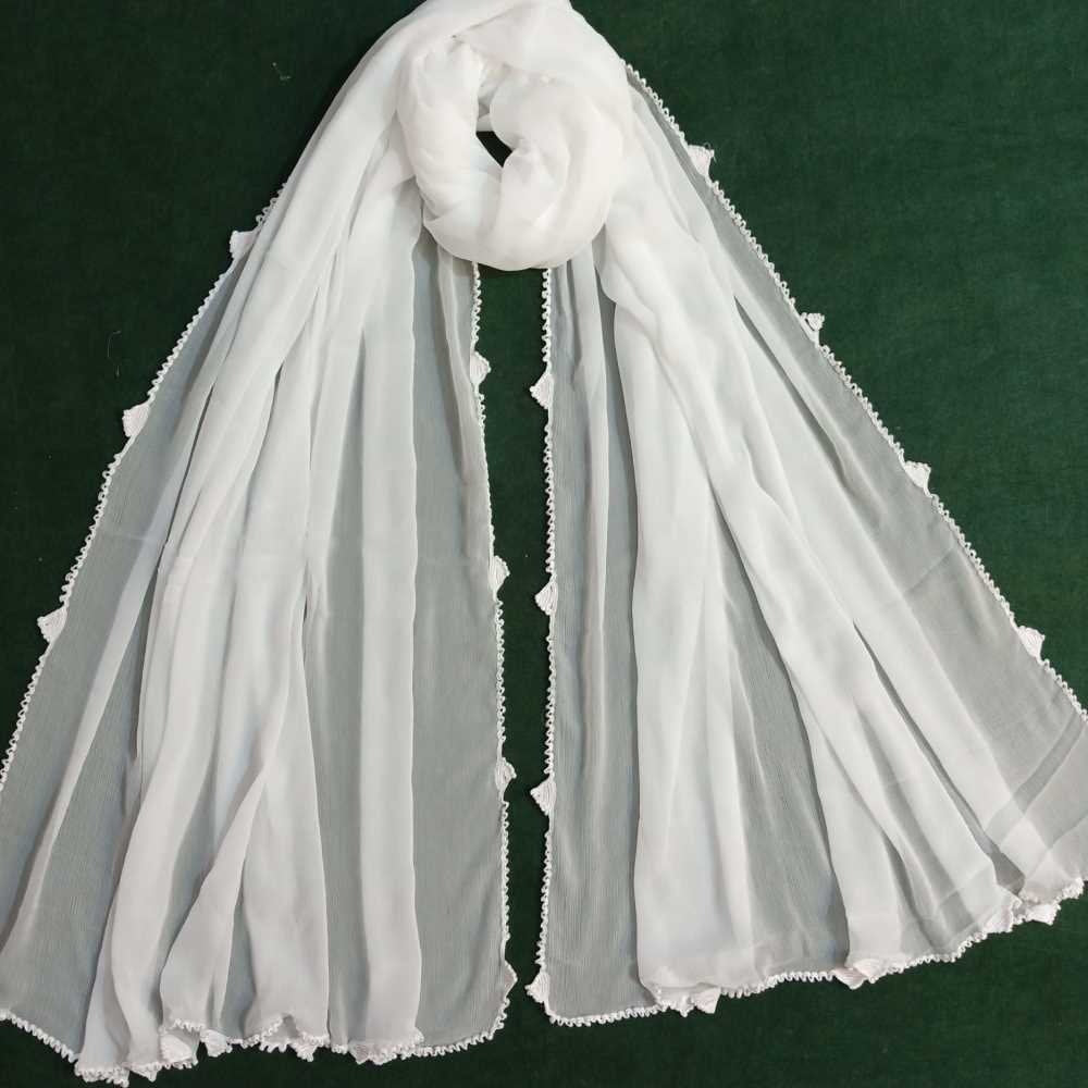 Qureshia Work Chiffon Dupatta - BGD03