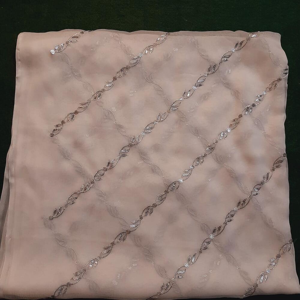 Silver Zari Embroided Chiffon Dupatta – Dyeable