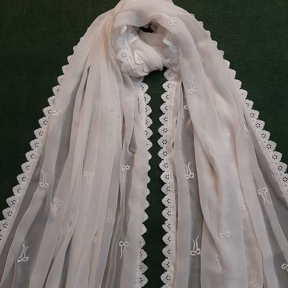 Embroided Laced Chifffon Dupatta - ZD1109
