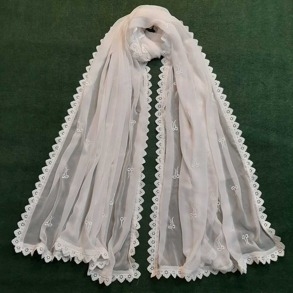 Embroided Laced Chifffon Dupatta - ZD1109