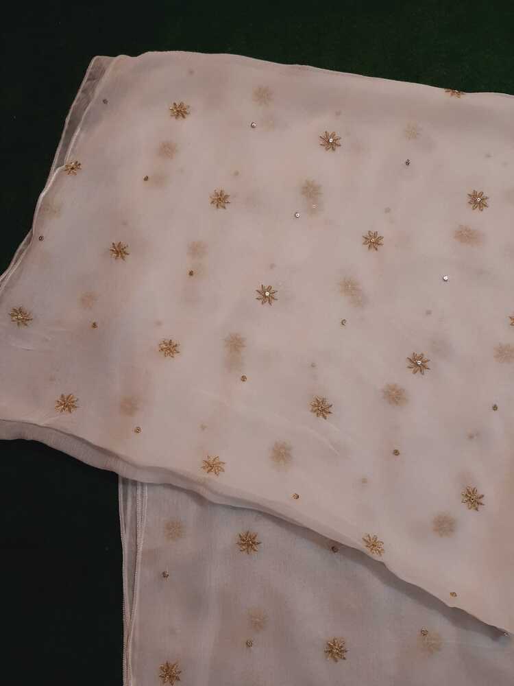 Zari Embroided Chiffon Dupatta – Dyeable – Gold - ZD1002