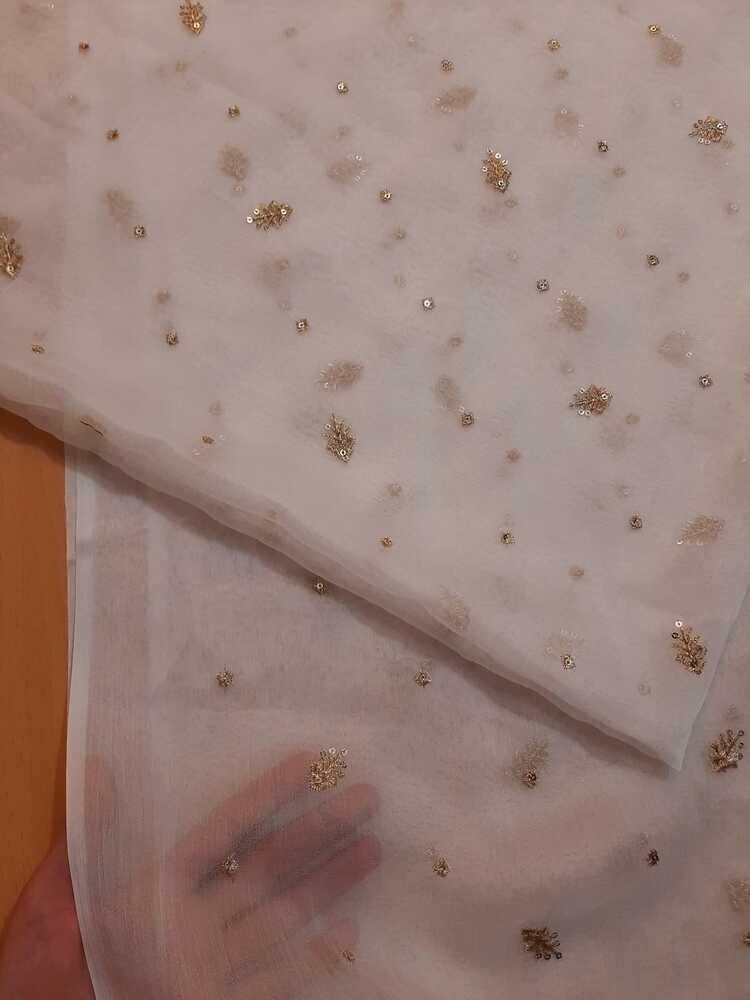 Zari Embroided Chiffon Dupatta – Dyeable – Gold - ZD433