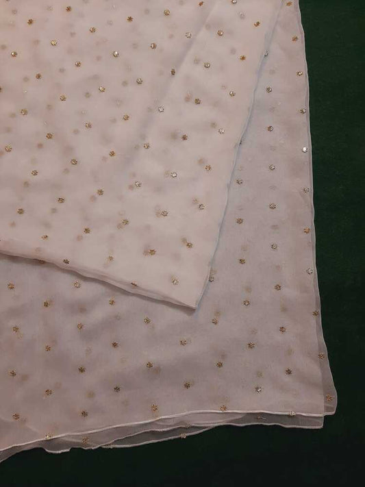 Zari Embroided Chiffon Dupatta – Dyeable – Gold - ZD434