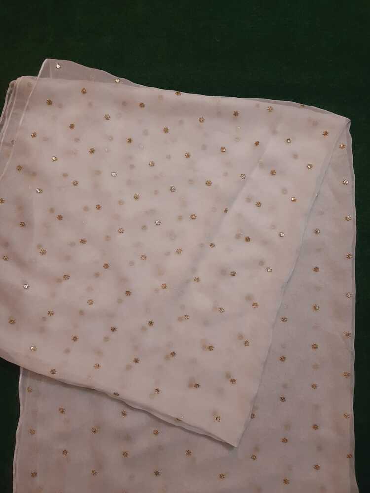 Zari Embroided Chiffon Dupatta – Dyeable – Gold - ZD434