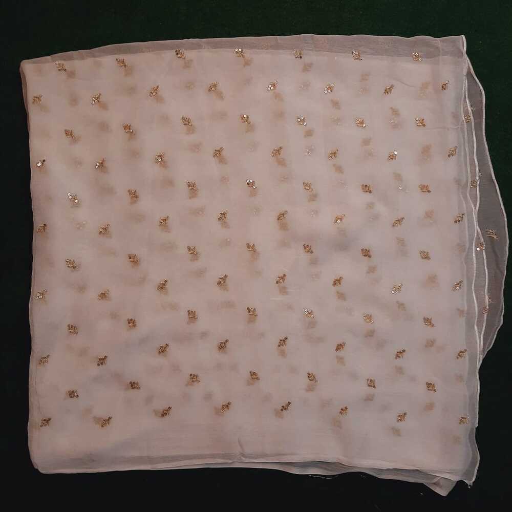 Zari Embroided Chiffon Dupatta – Dyeable – Gold