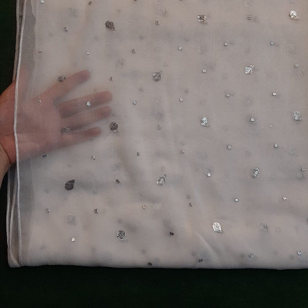 Silver Zari Embroided Chiffon Dupatta – Dyeable
