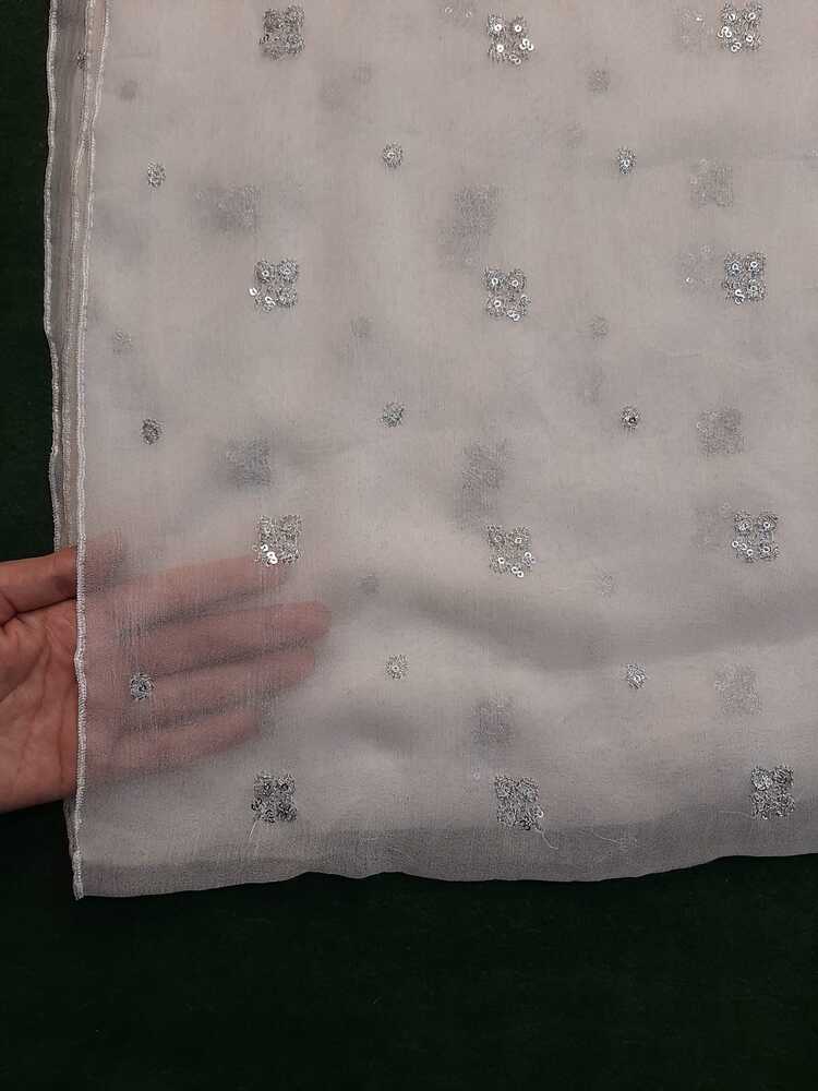 Silver Zari Embroided Chiffon Dupatta – Dyeable
