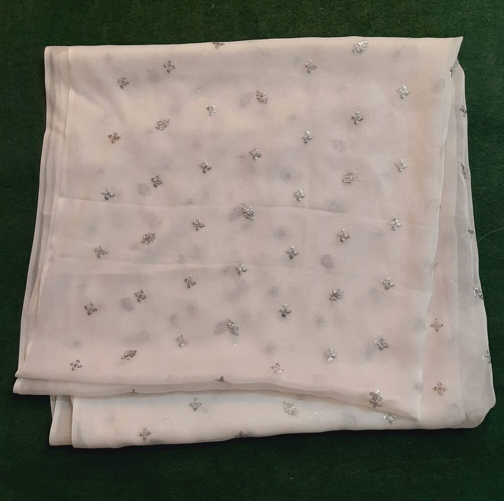 Silver Zari Embroided Chiffon Dupatta – Dyeable