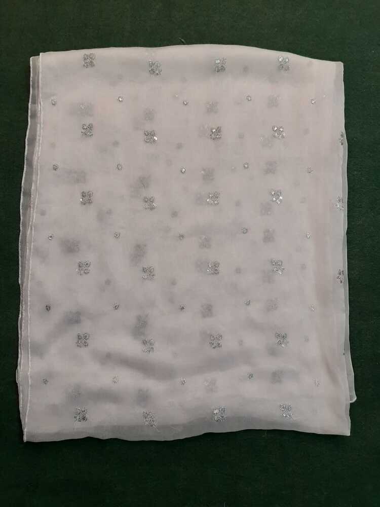 Silver Zari Embroided Chiffon Dupatta – Dyeable