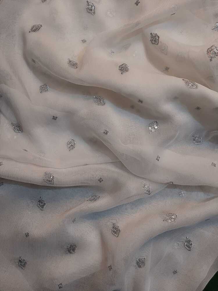 Silver Zari Embroided Chiffon Dupatta – Dyeable