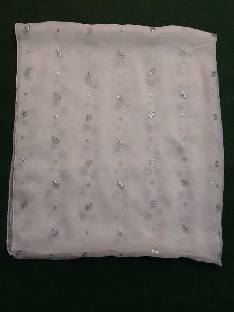 Silver Zari Embroided Chiffon Dupatta – Dyeable