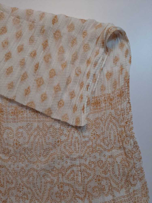 Block Print Chiffon Dupatta - ZD20