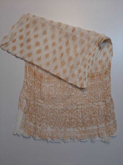 Block Print Chiffon Dupatta - ZD20