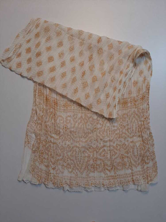 Block Print Chiffon Dupatta - ZD20