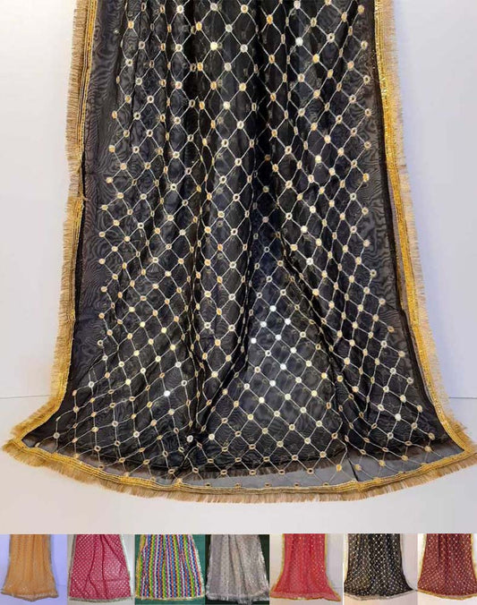Mirror Work Net Dupatta Large -  ZD998