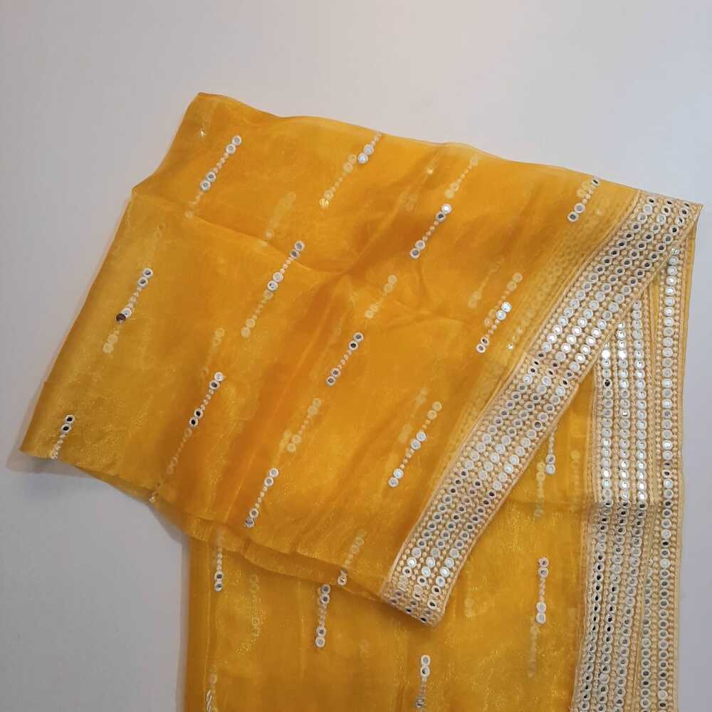 Mirror Work Organza Dupatta Large -  ZD633