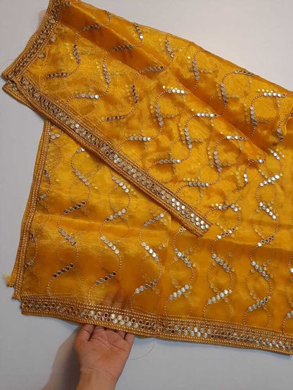 Mirror Work Organza Dupatta -  ZD640